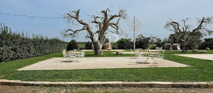 AGRITURISMO LA TREDICINA