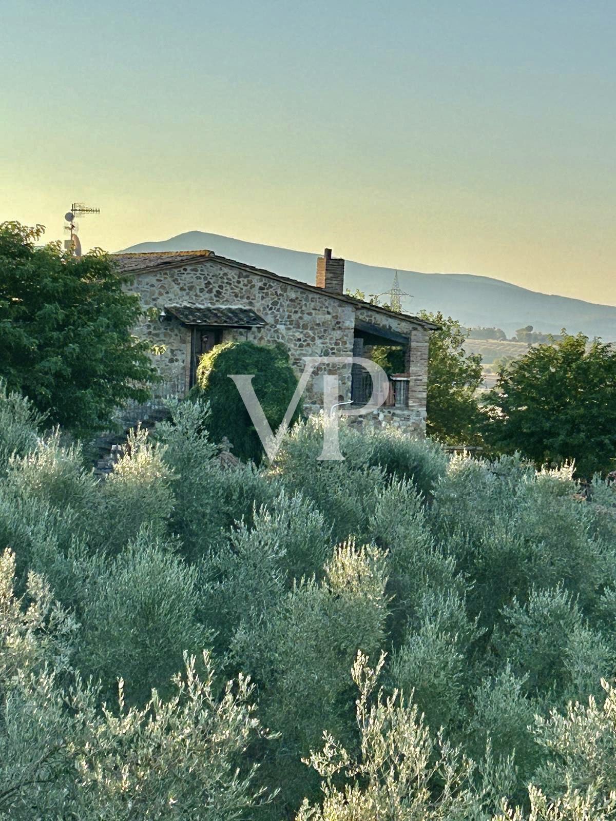 Gorgeous farmhouse with pool nestled in the Tuscan Maremma