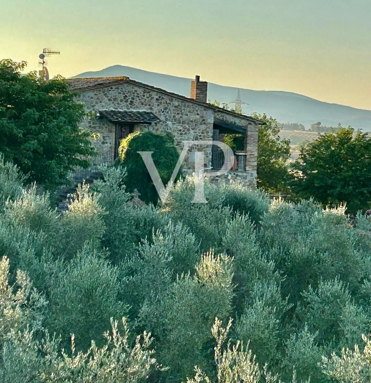 Splendido casale con piscina immerso nella Maremma toscana