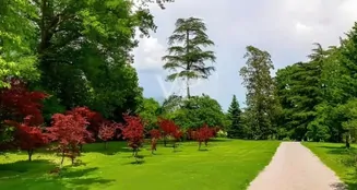 von_poll_real_estate_property_IT252941897_image_22