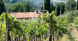 von_poll_real_estate_property_IT252941910_image_24