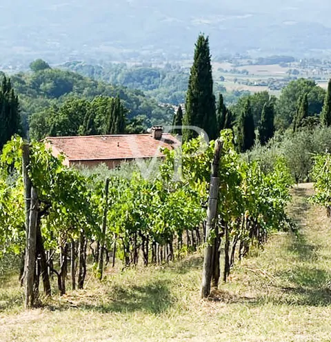 Traumhaus im Herzen von Mugello!