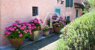von_poll_real_estate_property_IT252941910_image_3
