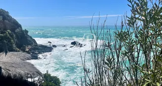 von_poll_real_estate_property_IT254151927_image_30