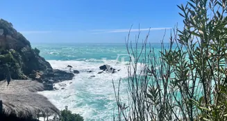 von_poll_real_estate_property_IT254151927_image_30