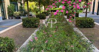 von_poll_real_estate_property_IT252941975_image_23