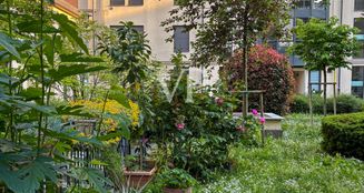 von_poll_real_estate_property_IT252941975_image_25
