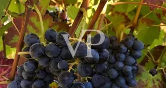 von_poll_real_estate_property_IT252941982_image_9