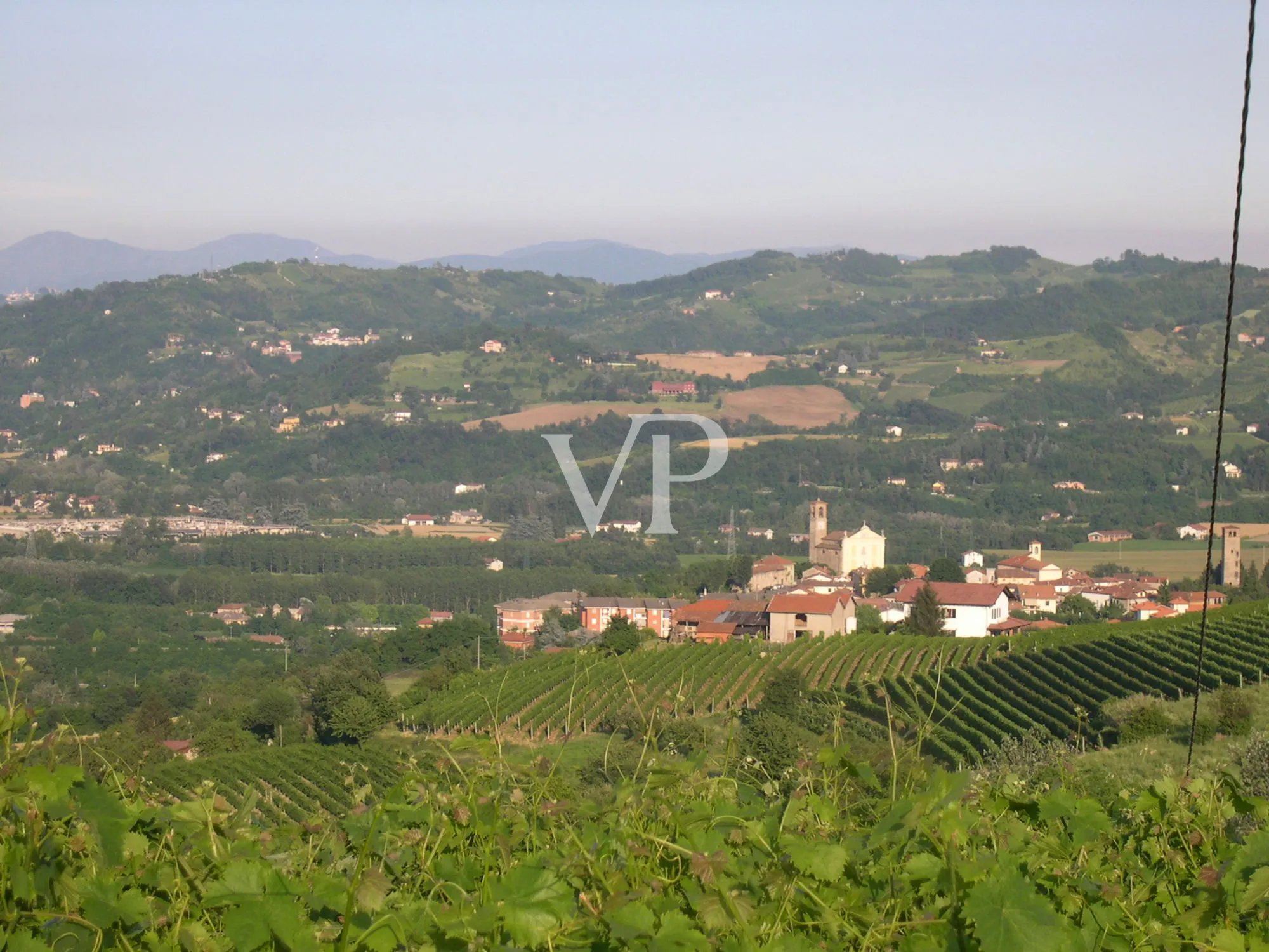 Prestigiosa Tenuta vitivinicola nel cuore del Monferrato