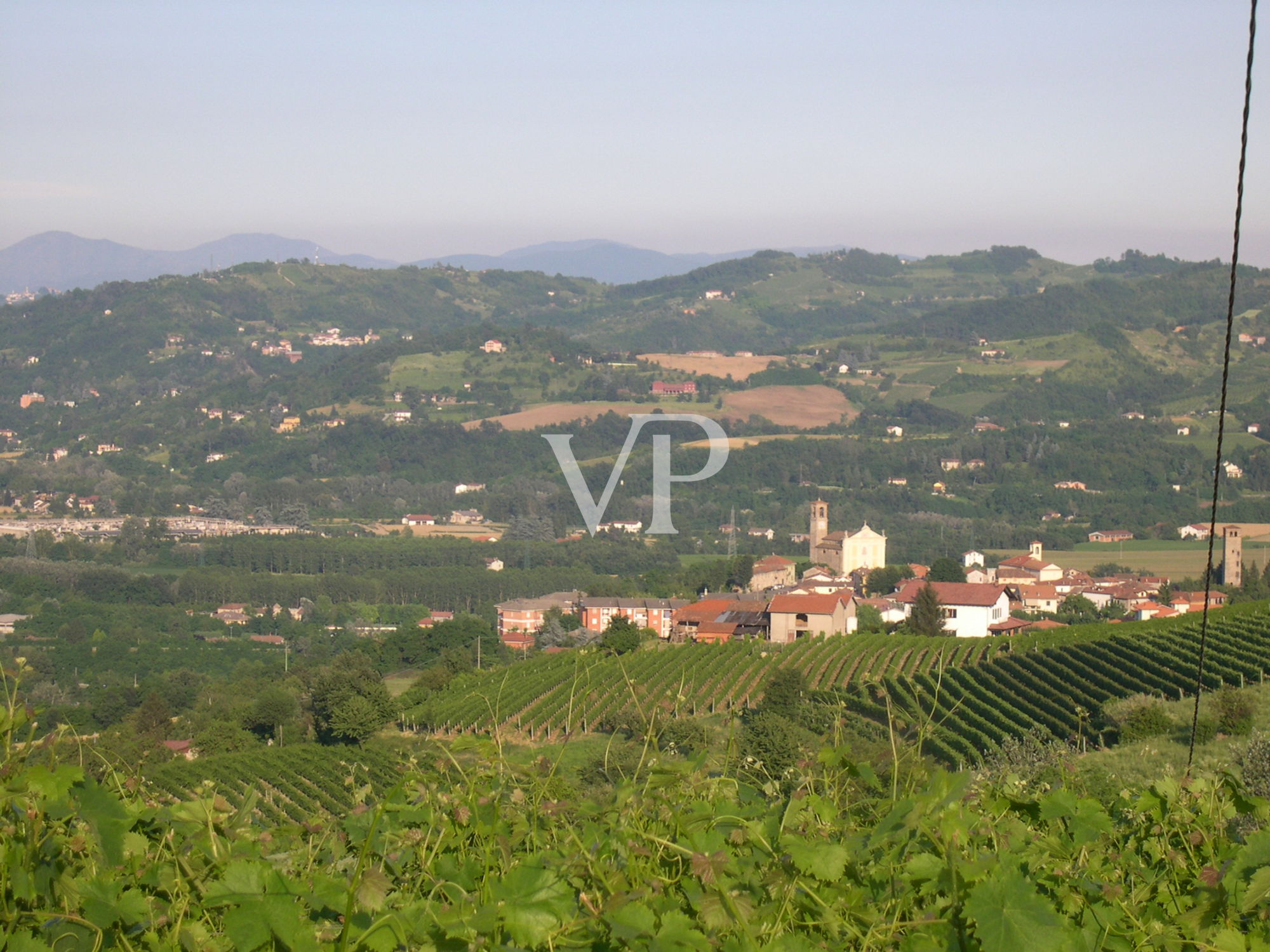 Prestigious wine estate in the heart of Monferrato