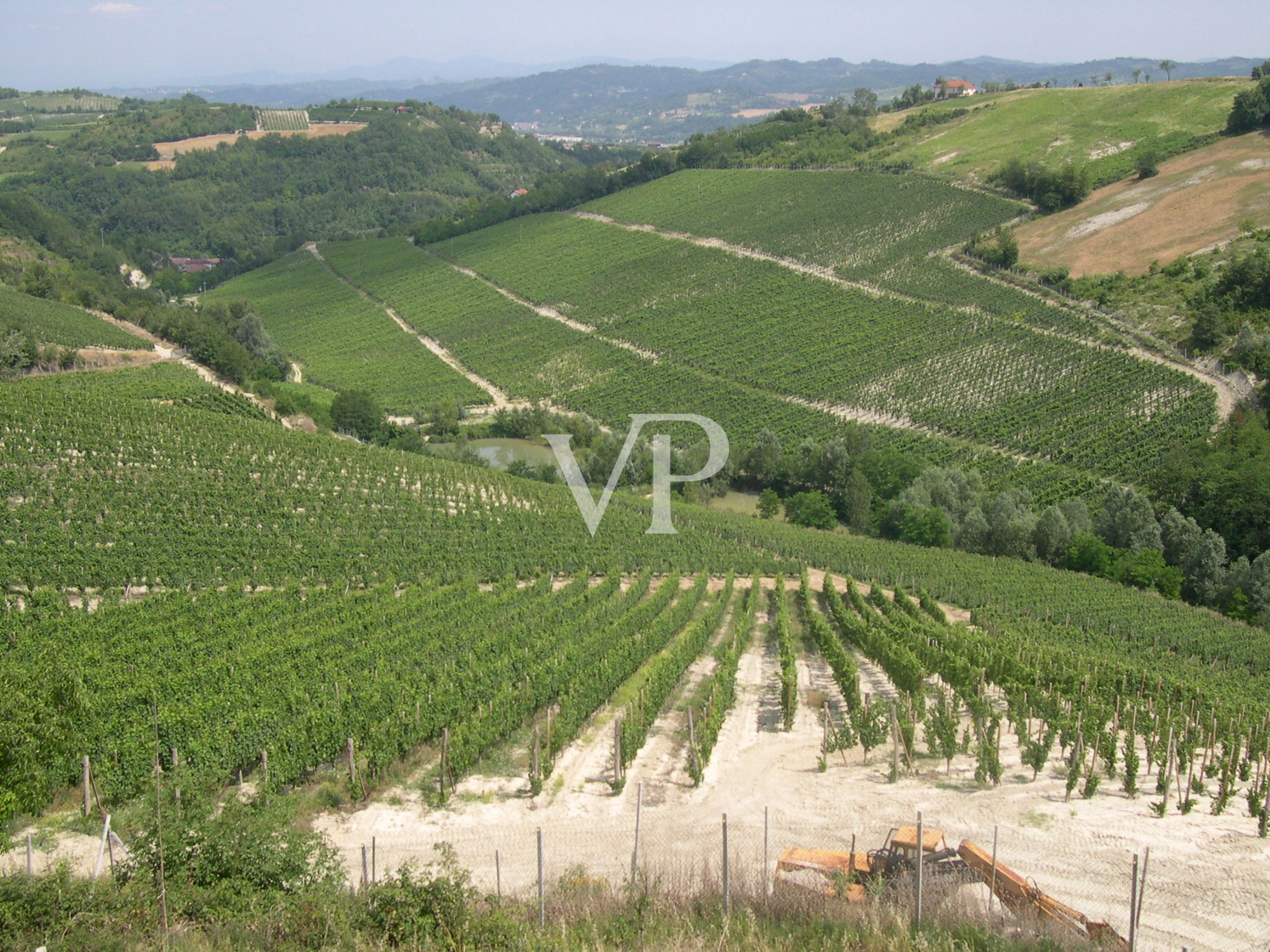 Prestigious wine estate in the heart of Monferrato