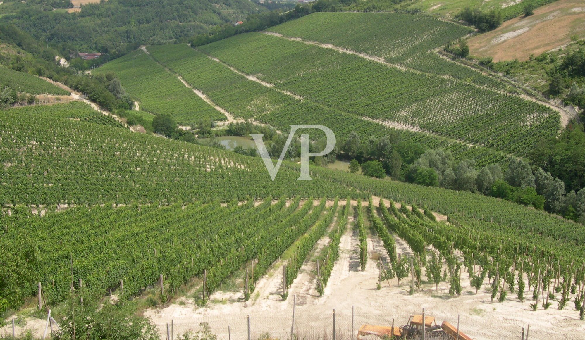 Prestigiosa Tenuta vitivinicola nel cuore del Monferrato