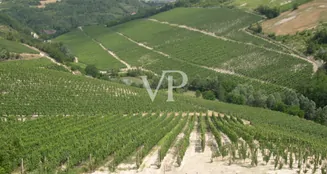 von_poll_real_estate_property_IT252941982_image_1