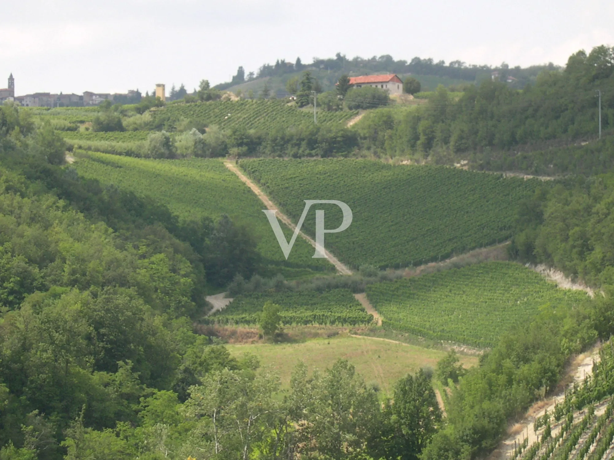 Prestigiosa Tenuta vitivinicola nel cuore del Monferrato