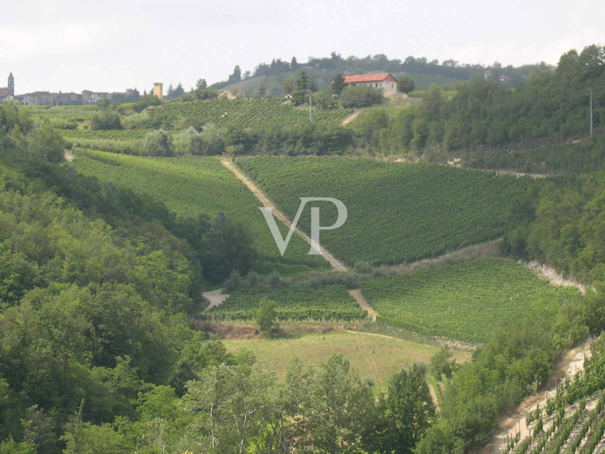 Prestigious wine estate in the heart of Monferrato