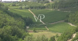 von_poll_real_estate_property_IT252941982_image_5