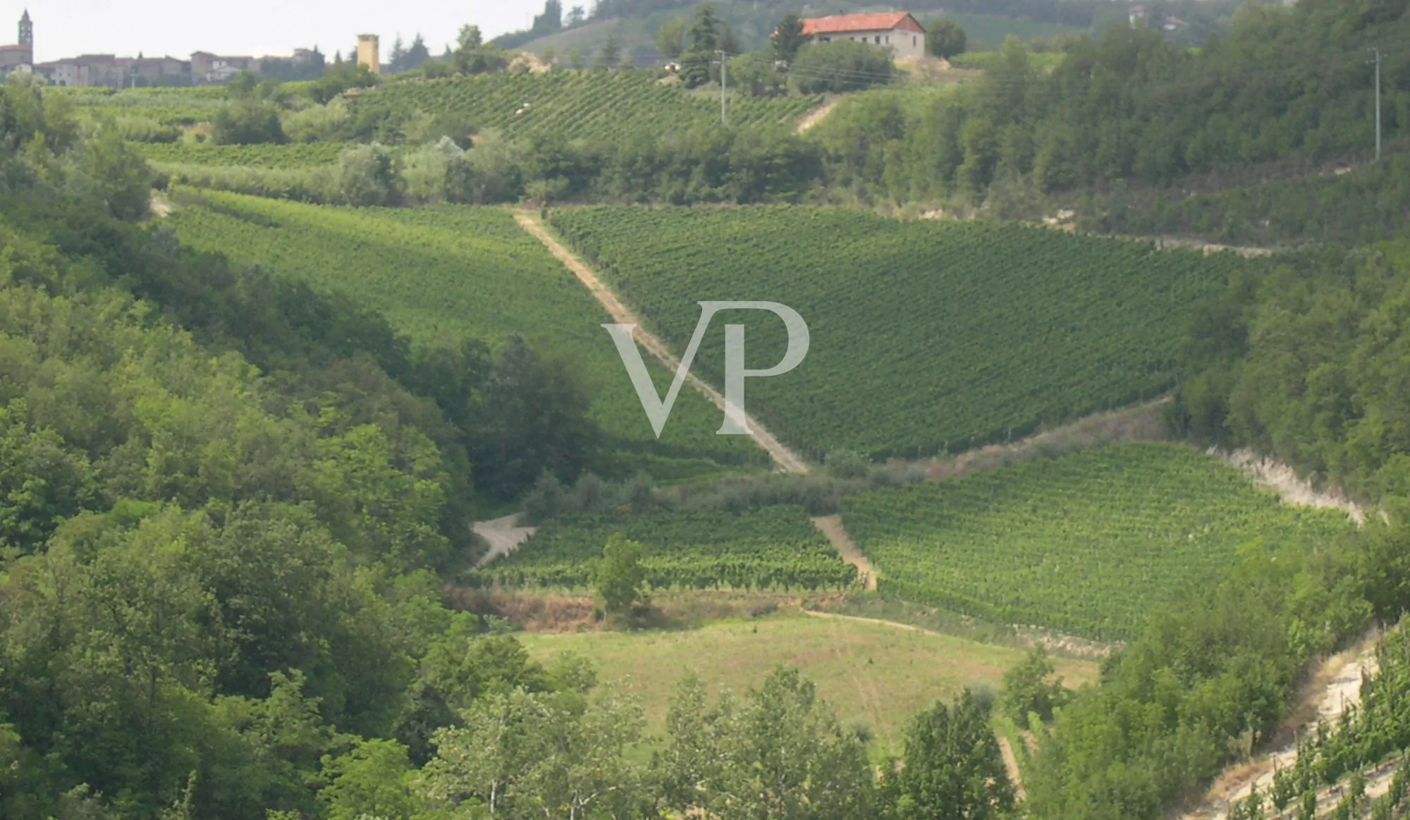 Prestigeträchtiges Weingut im Herzen des Monferrato