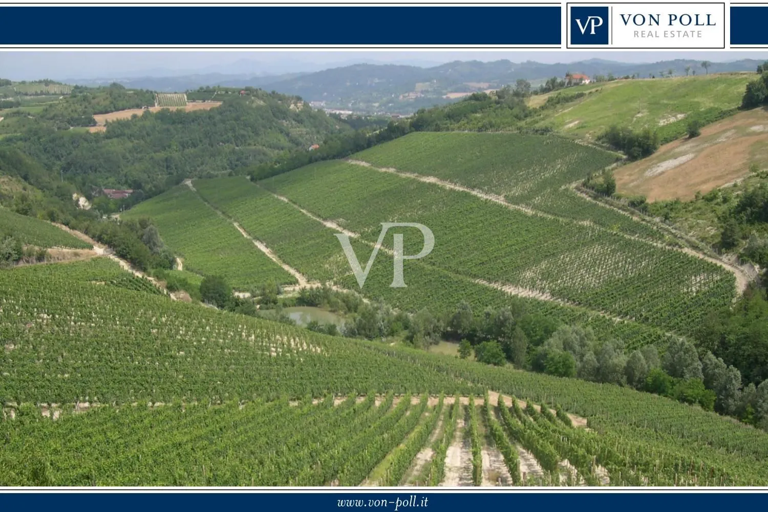 Prestigiosa Tenuta vitivinicola nel cuore del Monferrato