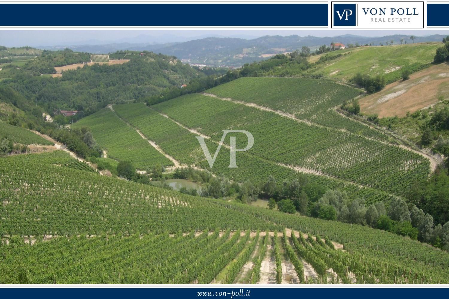 Prestigious wine estate in the heart of Monferrato