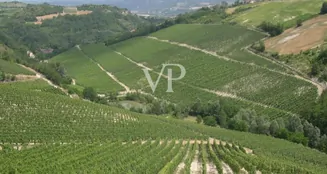 von_poll_real_estate_property_IT252941982_image_0