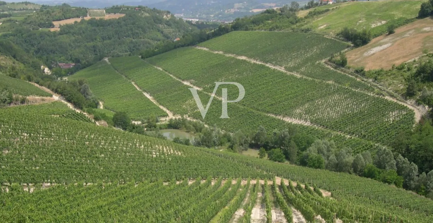 Prestigeträchtiges Weingut im Herzen des Monferrato