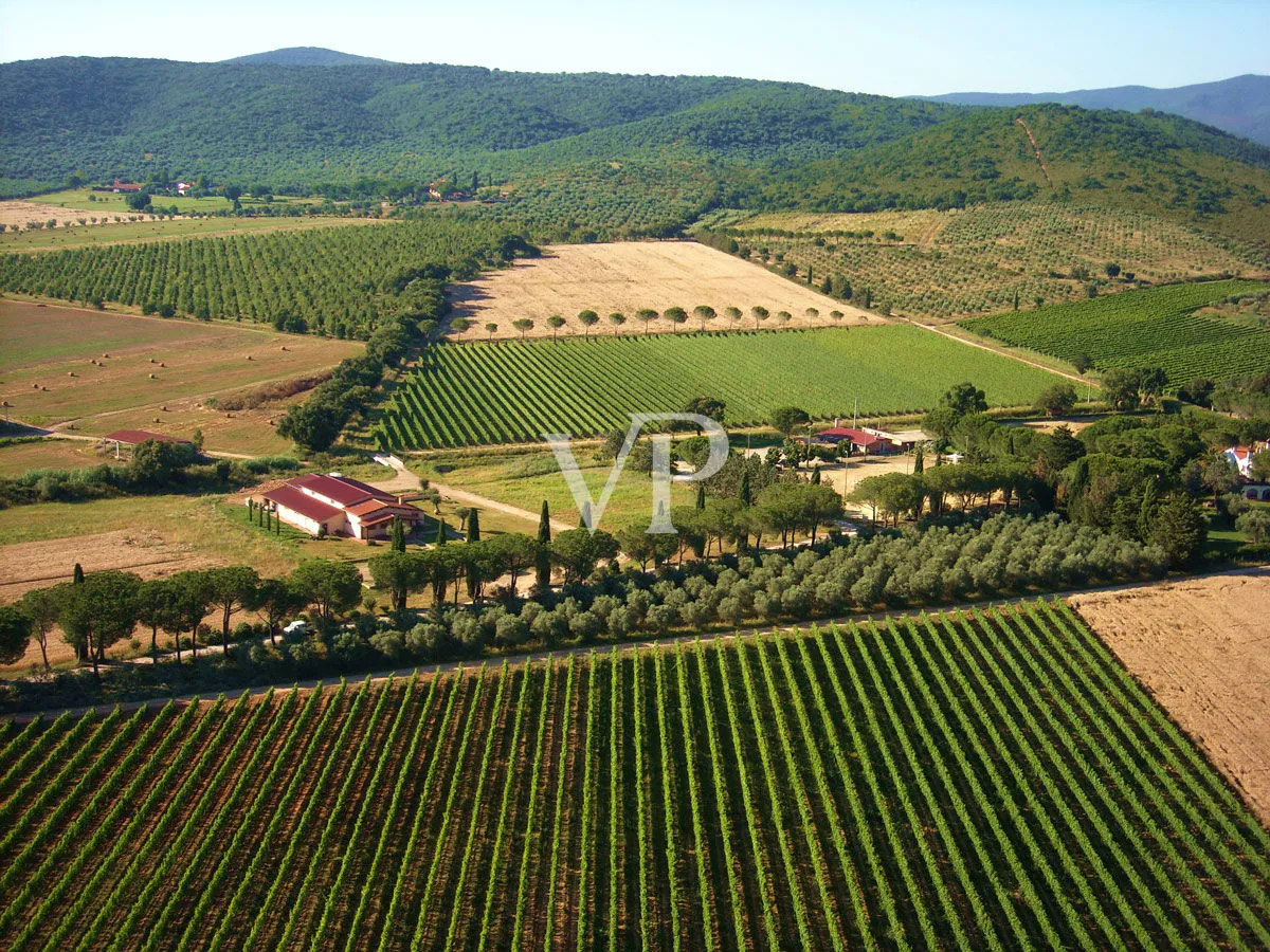 Prestigiosa Tenuta vitivinicola nel cuore del Monferrato