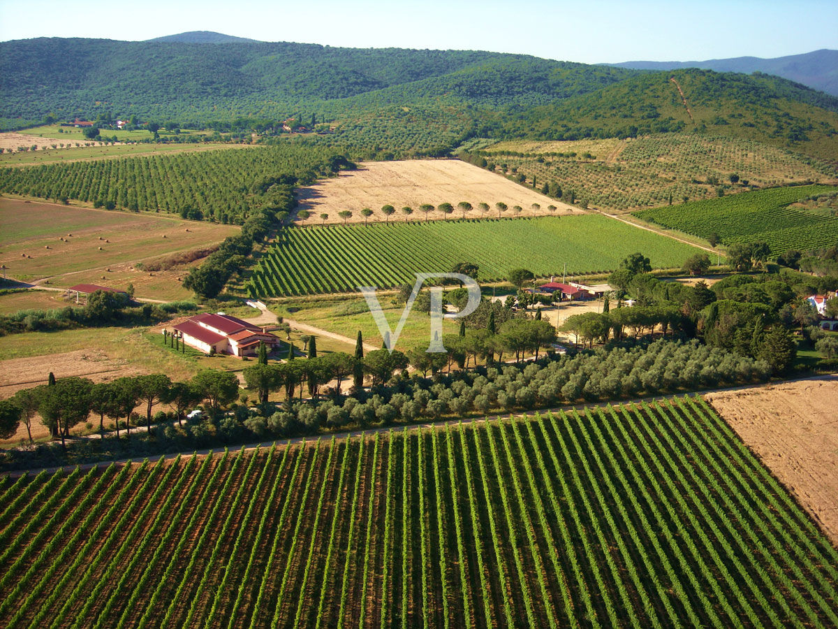 Prestigious wine estate in the heart of Monferrato