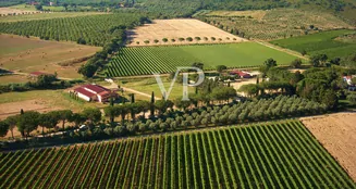 von_poll_real_estate_property_IT252941982_image_3