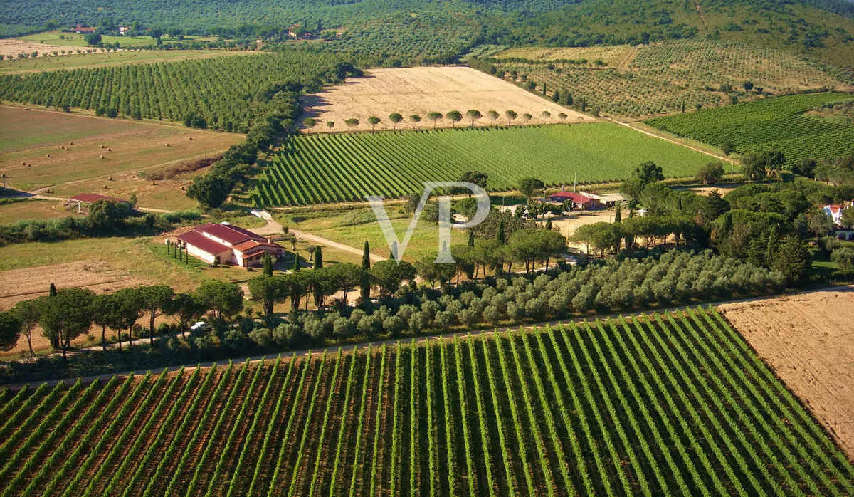 Prestigeträchtiges Weingut im Herzen des Monferrato