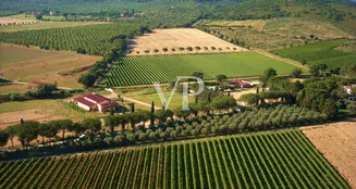 von_poll_real_estate_property_IT252941982_image_3