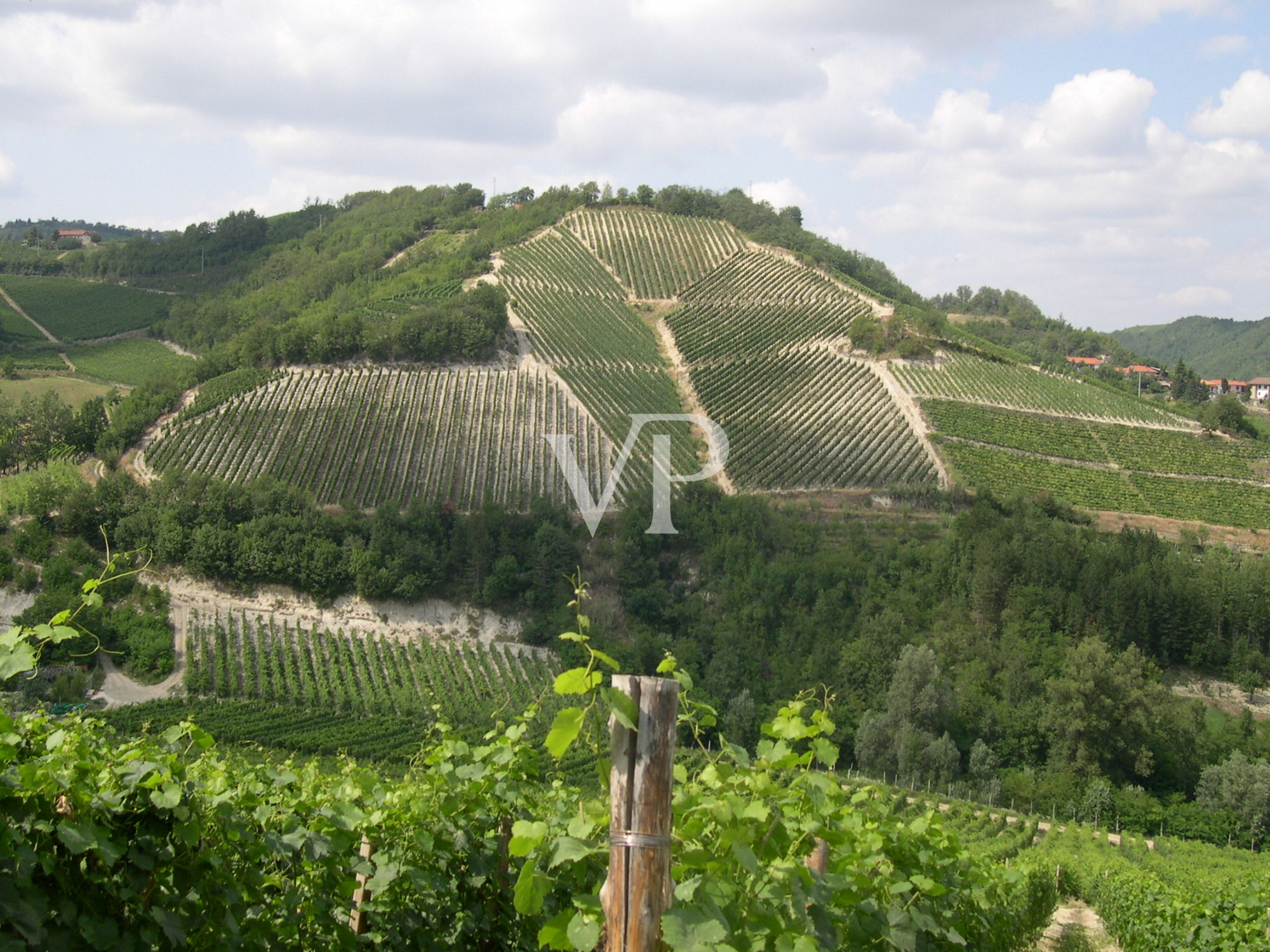 Prestigious wine estate in the heart of Monferrato