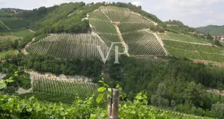 von_poll_real_estate_property_IT252941982_image_2