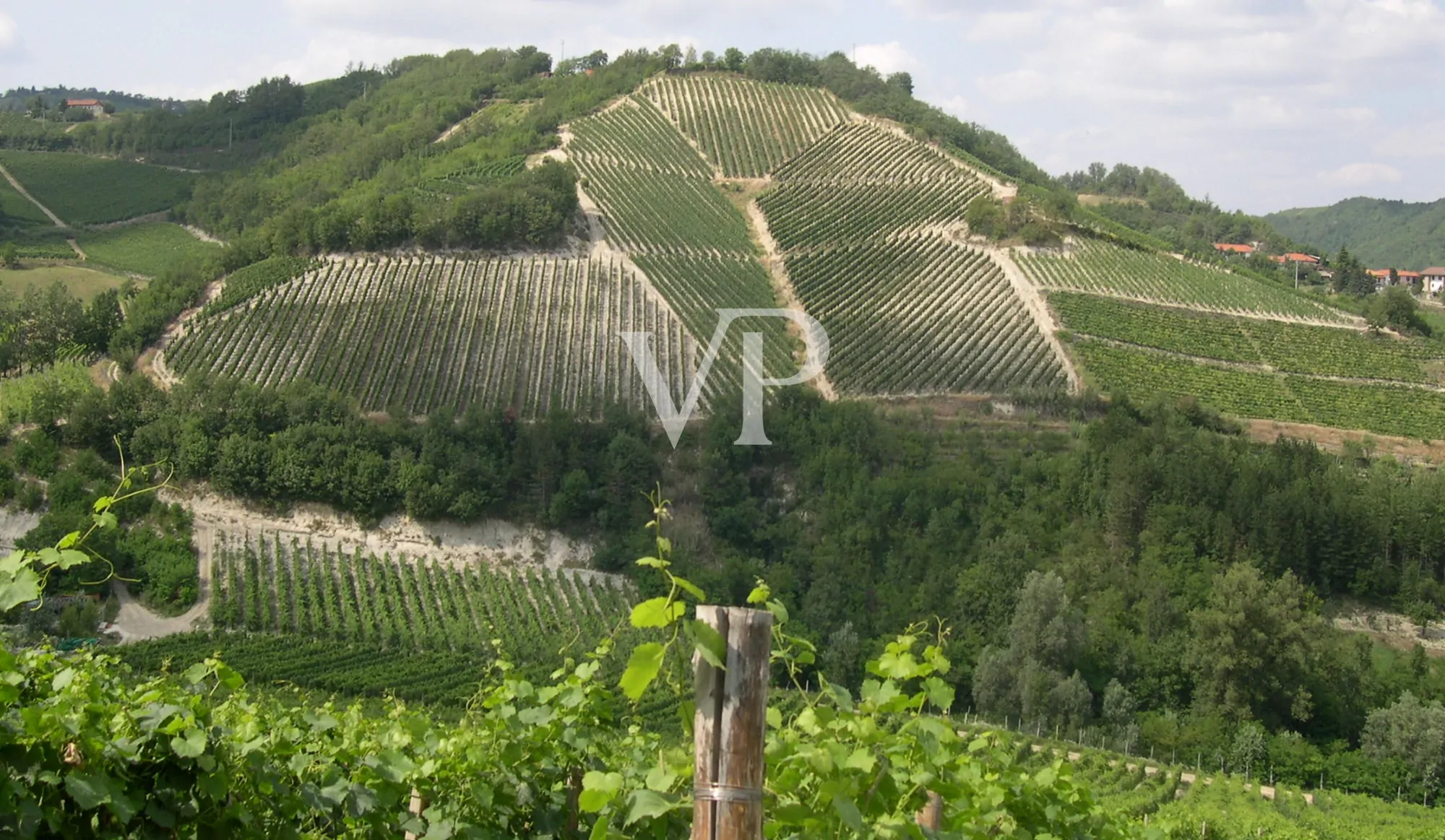 Prestigeträchtiges Weingut im Herzen des Monferrato