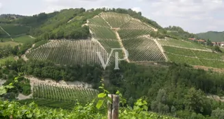 von_poll_real_estate_property_IT252941982_image_2