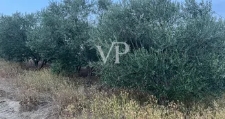 von_poll_real_estate_property_IT252941982_image_7