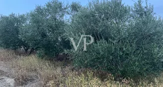 von_poll_real_estate_property_IT252941982_image_7