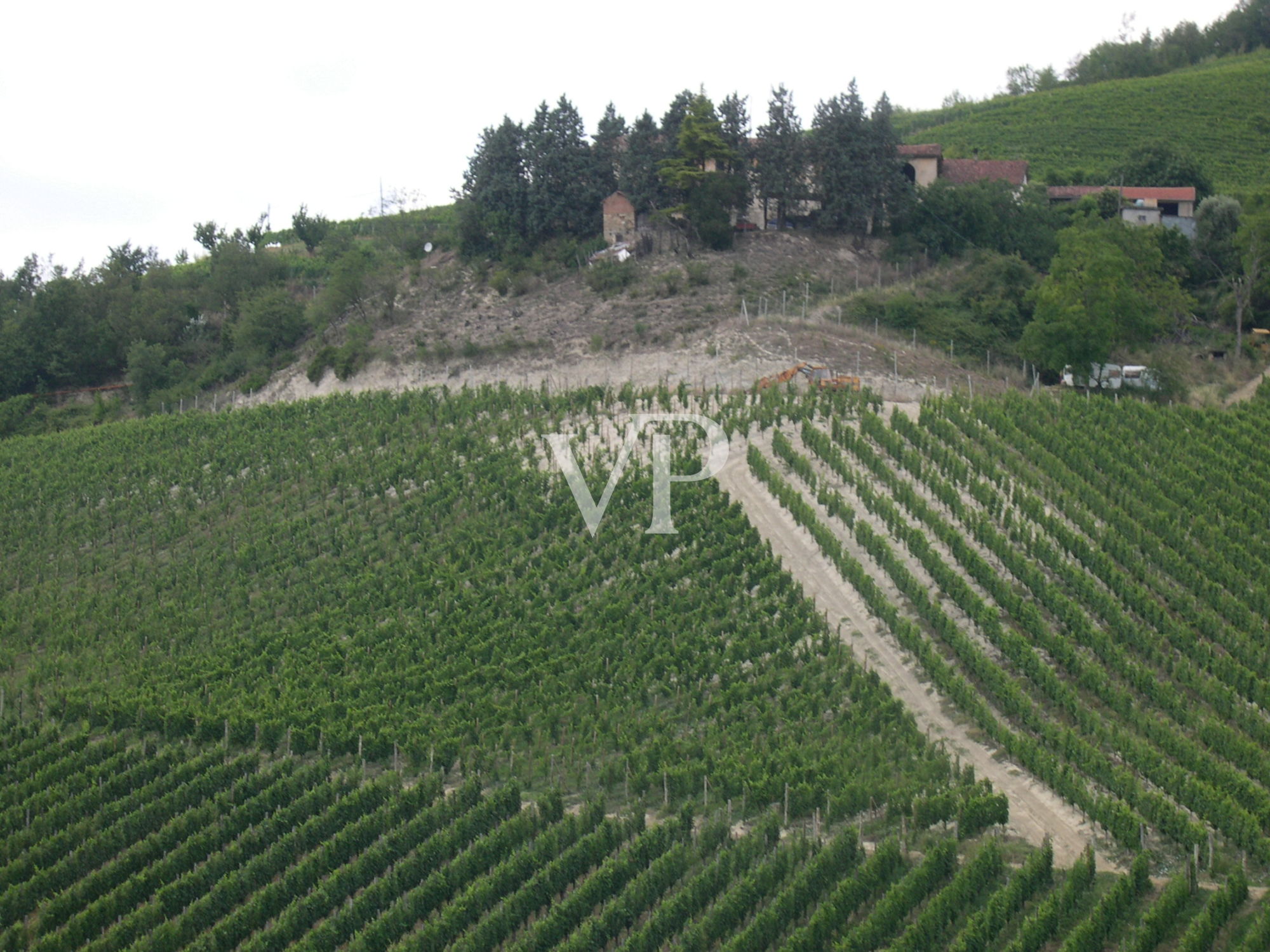 Prestigious wine estate in the heart of Monferrato