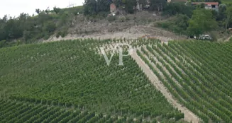 von_poll_real_estate_property_IT252941982_image_4