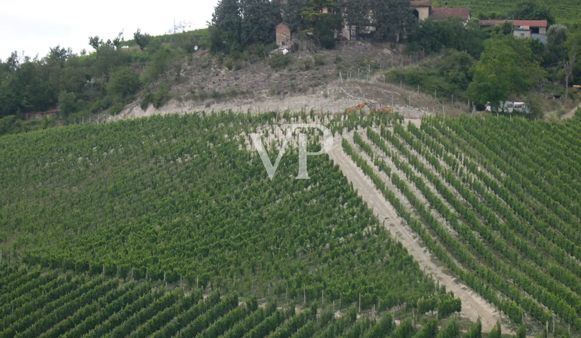 Prestigeträchtiges Weingut im Herzen des Monferrato