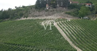 von_poll_real_estate_property_IT252941982_image_4