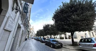 von_poll_real_estate_property_IT252942002_image_18