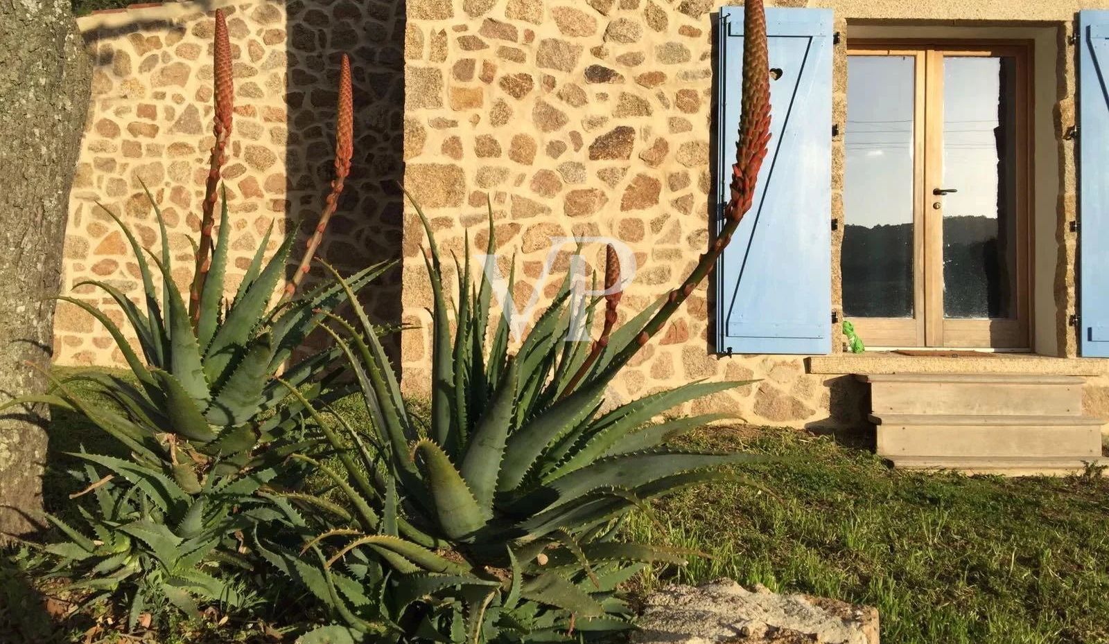 Tenuta Aglientu - Un Sogno di Natura, Eleganza e Libertà