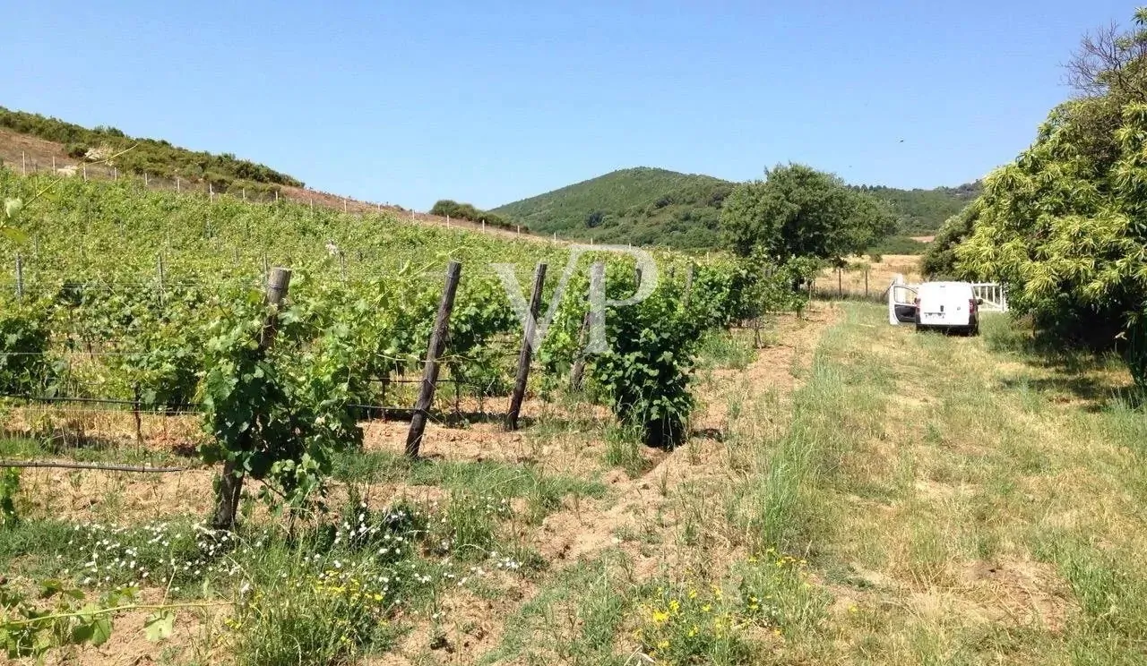 Aglientu Estate - Ein Traum von Natur, Eleganz und Freiheit