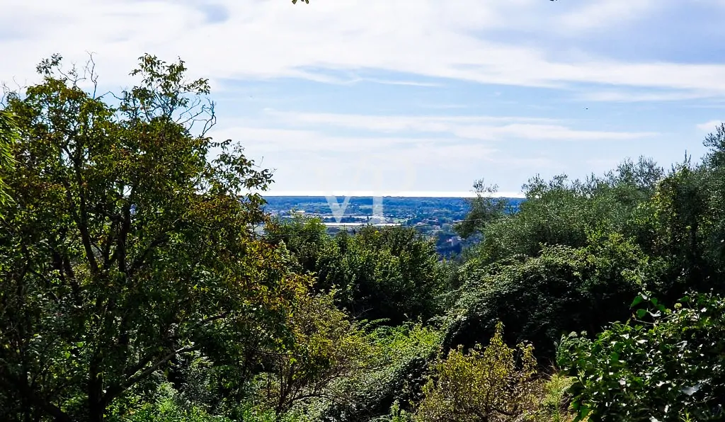 Tenuta storica con vista mare e 8 ettari di terreno – fascino toscano nei pressi di Pisa
