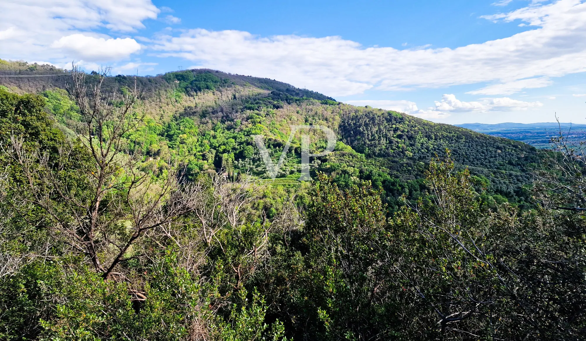 Tenuta storica con vista mare e 8 ettari di terreno – fascino toscano nei pressi di Pisa