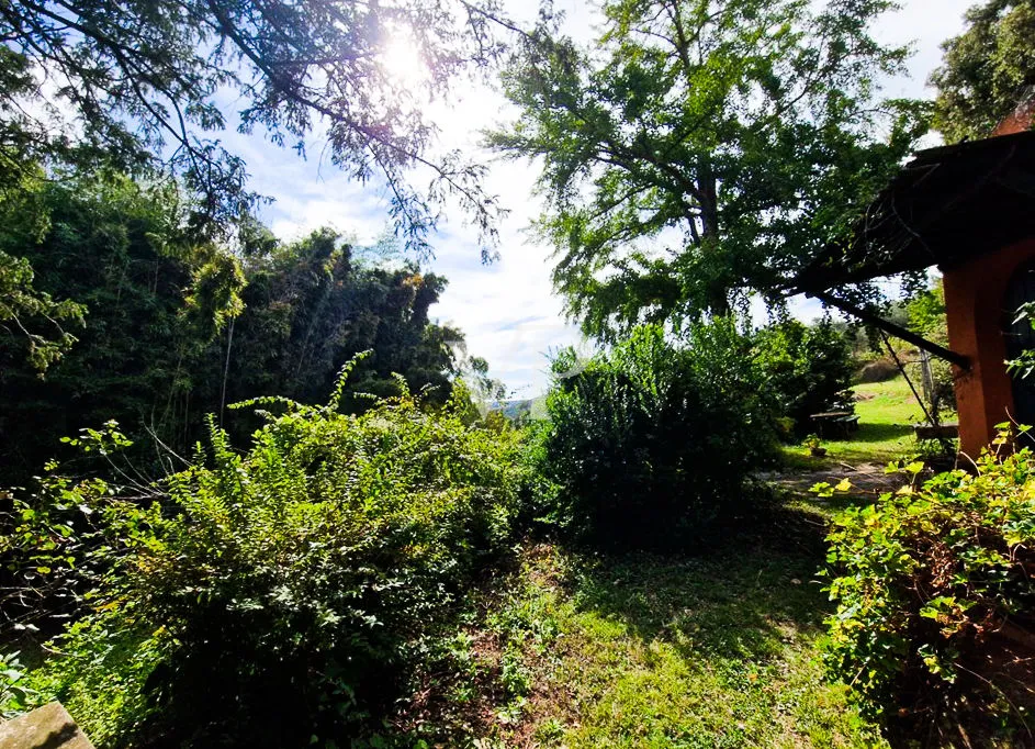 Historic Estate with Sea View and 8 Hectares – Tuscan Charm near Pisa