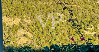 von_poll_real_estate_property_IT252942118_image_3