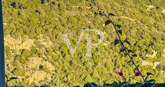 von_poll_real_estate_property_IT252942118_image_3