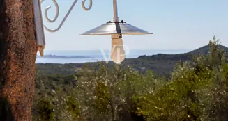 von_poll_real_estate_property_IT252942118_image_10