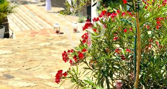 von_poll_real_estate_property_IT252942118_image_7